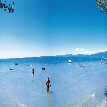 Small With Swimming Pool And 8 Lovely